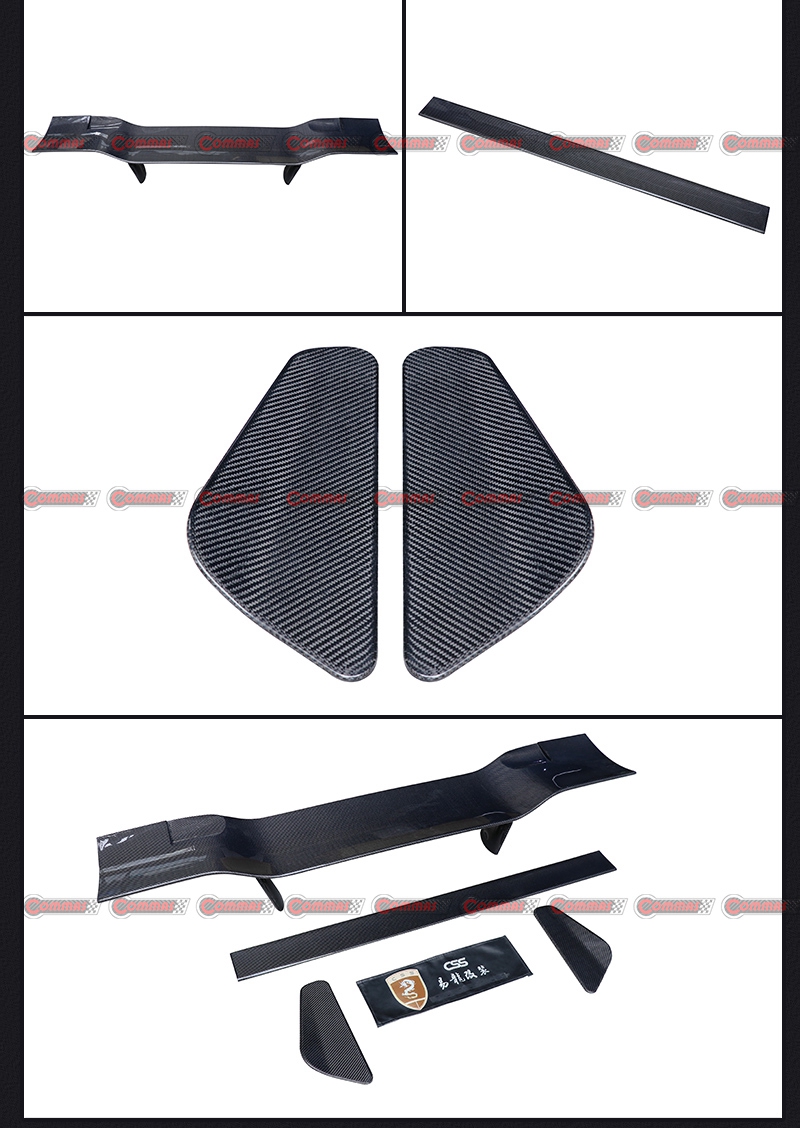 css_05 ailes arrière du manoir F812