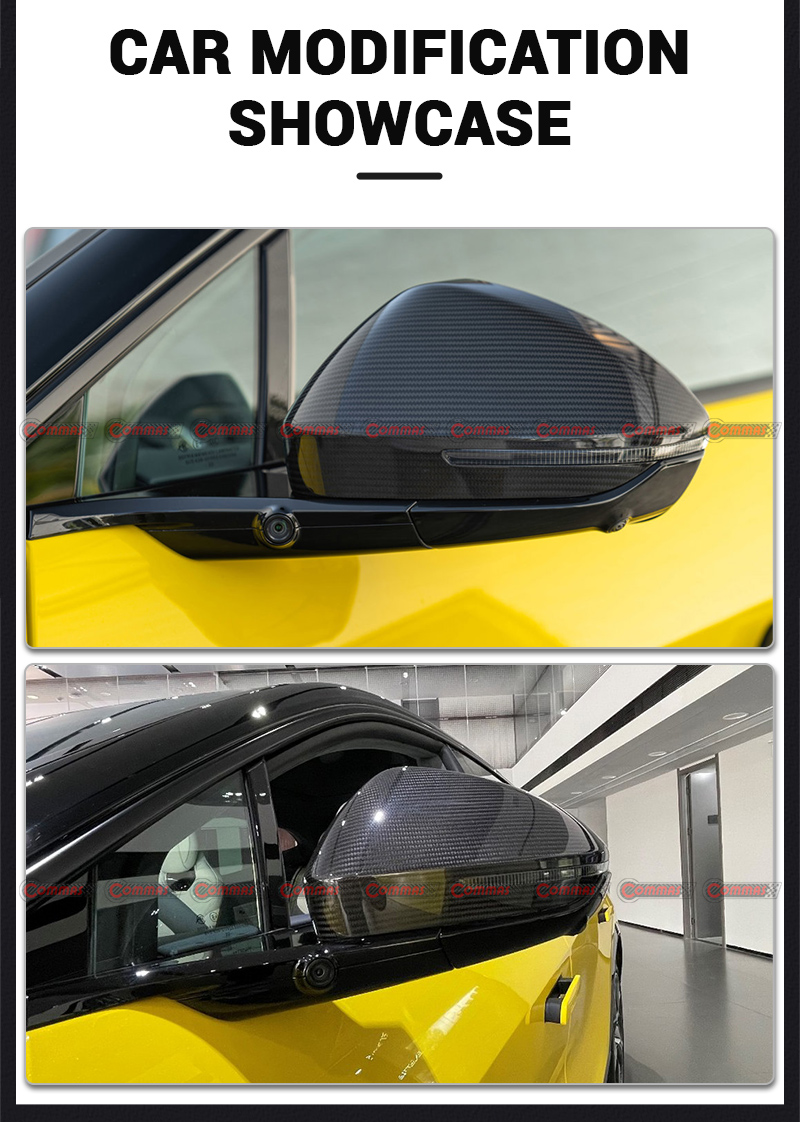 couvercle de r&eacute;troviseur OEM Lotus Eletre