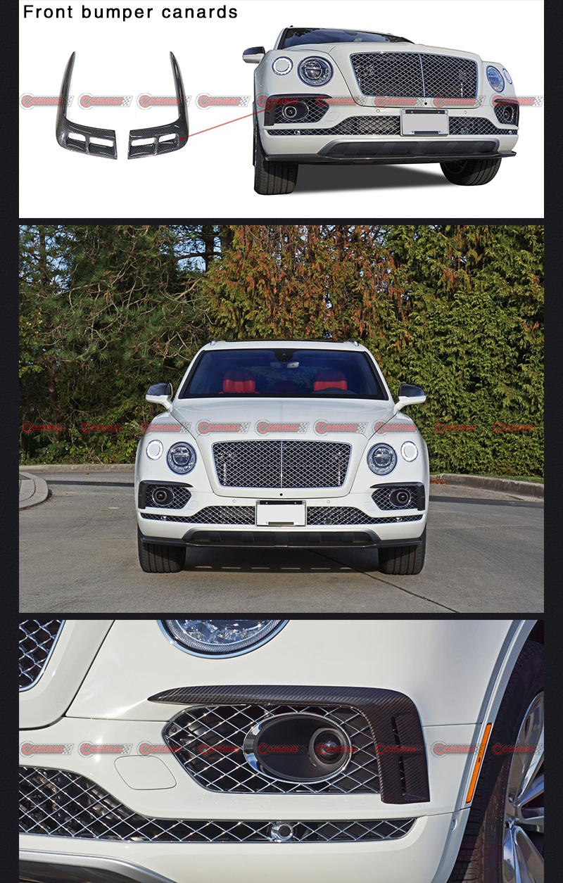 canards du pare-chocs avant de la bentley bentayga